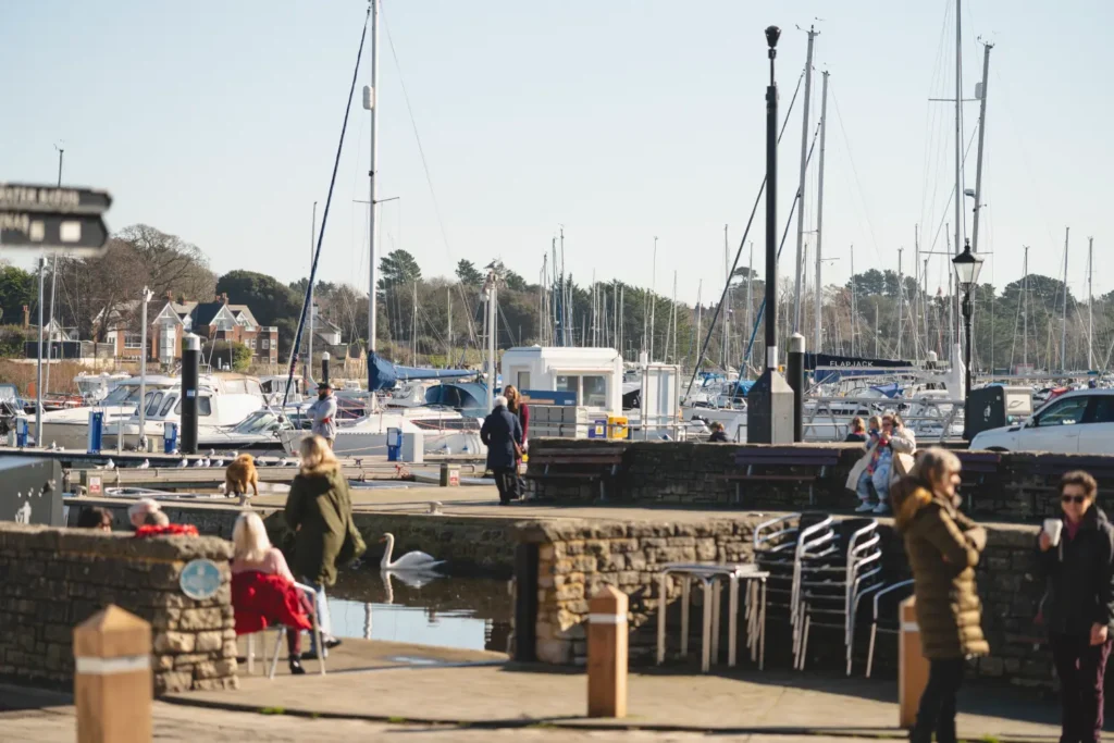 new forest stays in lymington
